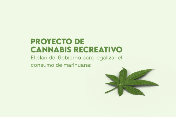 Cannabis Recreativo Plan Del Gobierno Para Legalizar El Consumo De