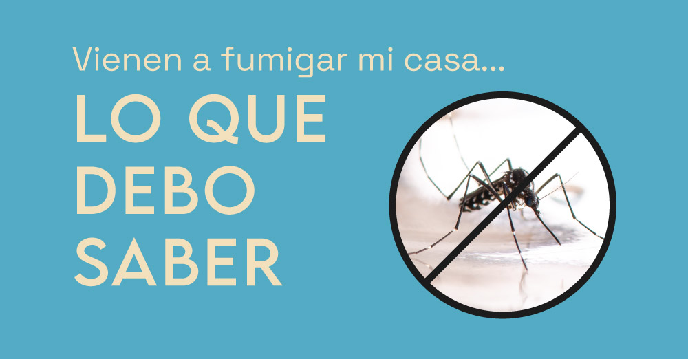 Vienen A Fumigar Mi Casa Por Dengue Lo Que Debo Saber