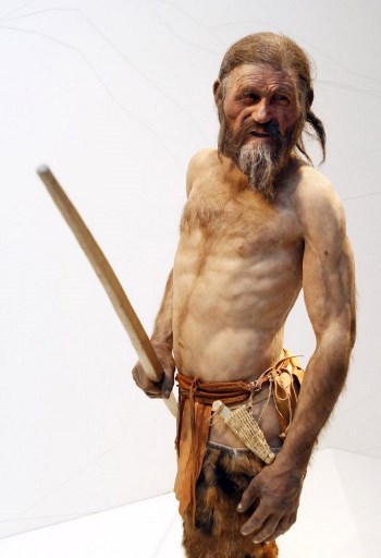 Tesoro.
