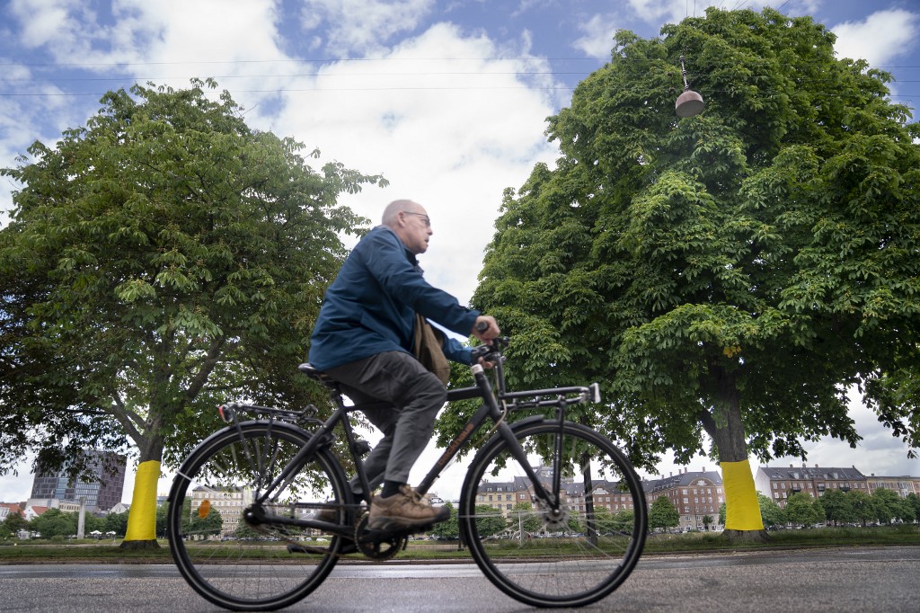 Ciclista en Dinamarca