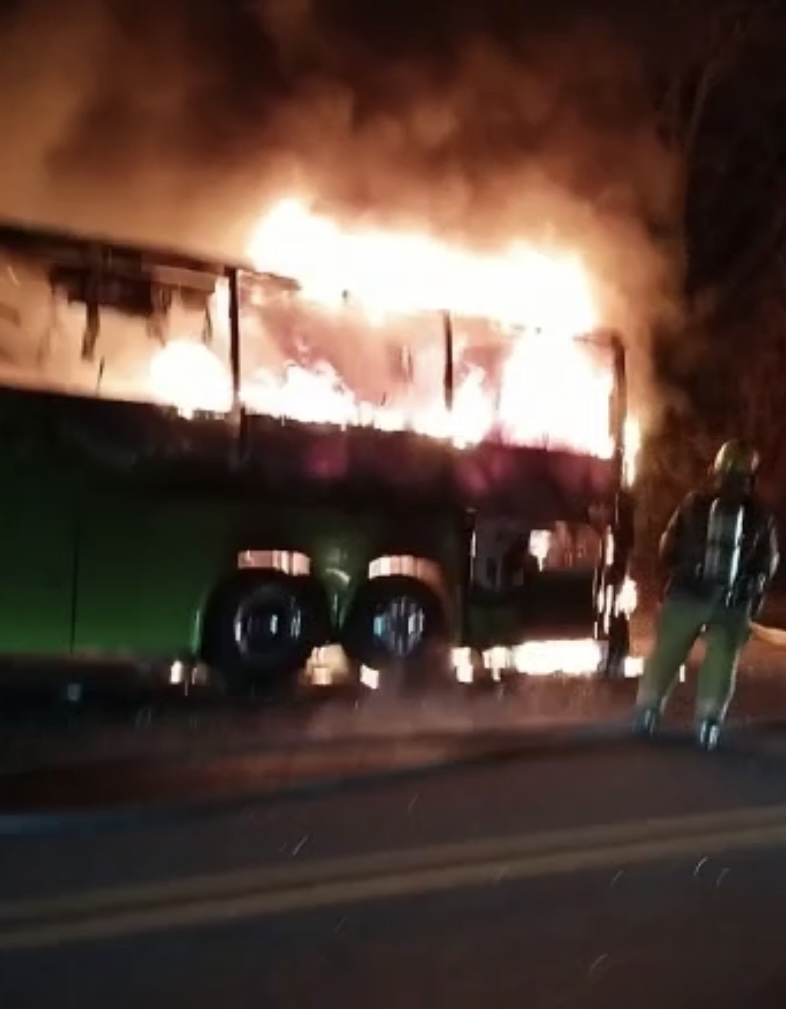 Bus 
