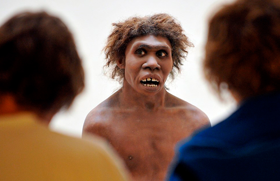 COVID19,coronavirus,Neandertal,estudio,enfermedad,noticias,internacionales