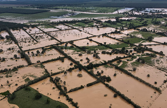 Guatemala,Ciclón,Eta,noticias,Internacionales