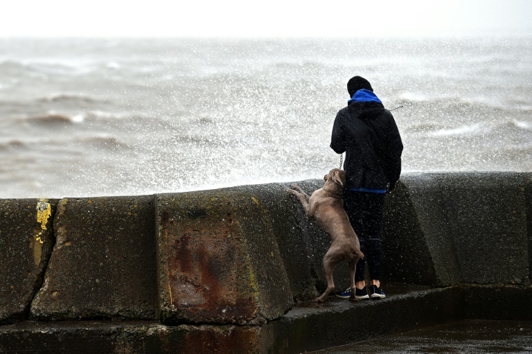 Un hombre con un perro en New Brighton, el 9 de febrero de 2020. (AFP)
