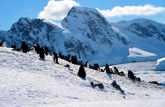 Antártida,Récord,Calentamiento Global