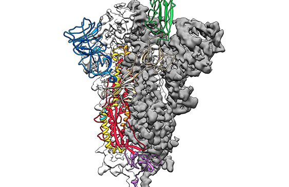 coronavirus,China,wuhan,Hubei