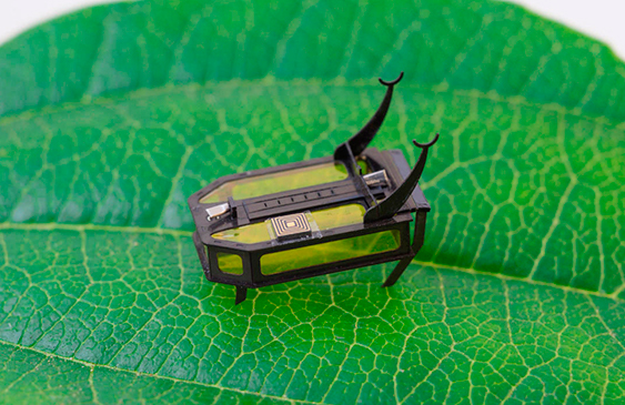científicos,robot,escarabajo,metanol