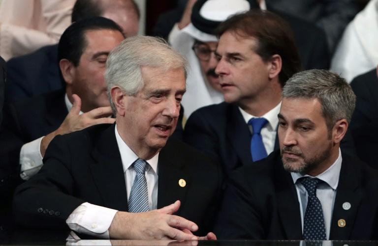 El presidente saliente de Uruguay Tabaré Vázquez. (AFP)