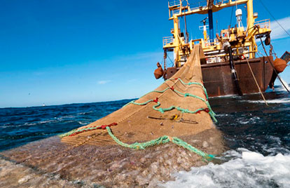 Pesca de arrastre impacta nutrientes en el suelo marino por