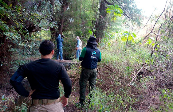 México,fosas,clandestinas,muertes,Guanajuato,noticias,internacionales