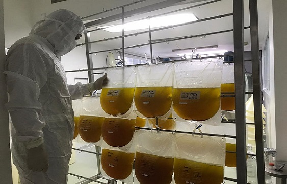 suero equino,CCSS,Román Macaya,Instituto Clodomiro Picado