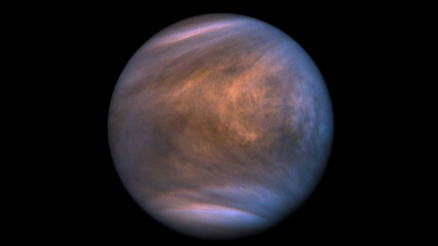 Venus,Tierra