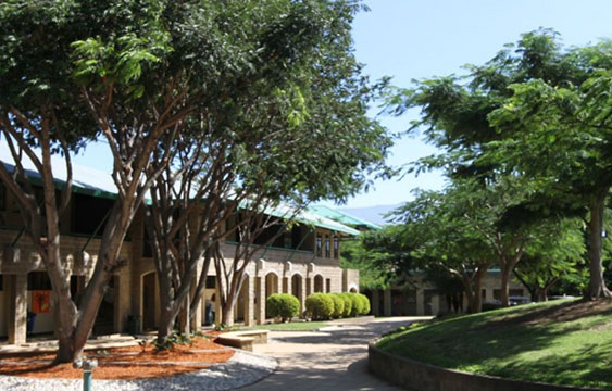 COVID19