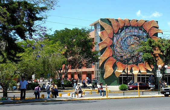 UCR,Campus,Alimentar,Animales,Noticias,Costa Rica