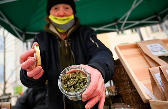 Cannabis,Francia,Debate,noticias,internacionales,legalización