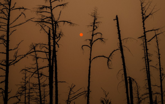 clima,incendio,rusia,medio ambiente,internacionales