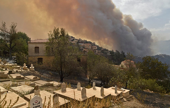 Argelia,Incendio,Muertes,cambio climático,noticias,ambiente,internacionales