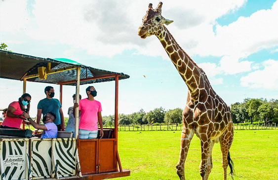 Sistema Nacional de Áreas de Conservación,Ministerio de Ambiente y Energía,Ponderosa Adventure Park