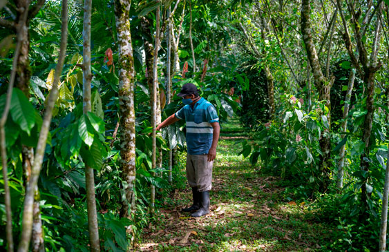 Costa Rica,Príncipe William,Realeza,Reino Unido,Medio ambiente,Naturaleza