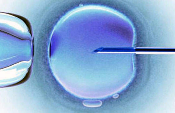 Caja Costarricense de Seguro Social,Fecundación in vitro,Salud,Ciencia