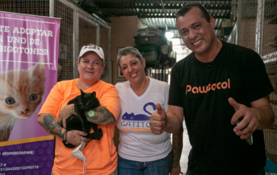 Animales,Iniciativa,Nacionales