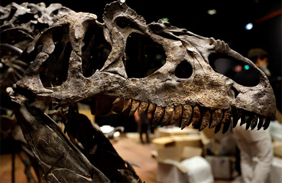 frío,dinosaurios,meteorito,extinción,ciencia,paleontología