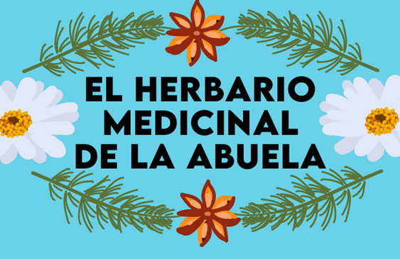 plantas medicinales,hierbas,medicina,medicina natural