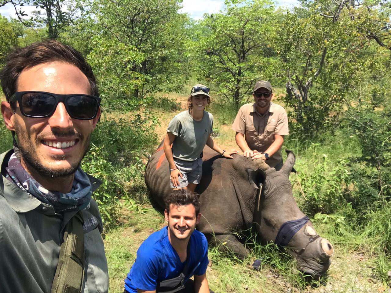 rinos