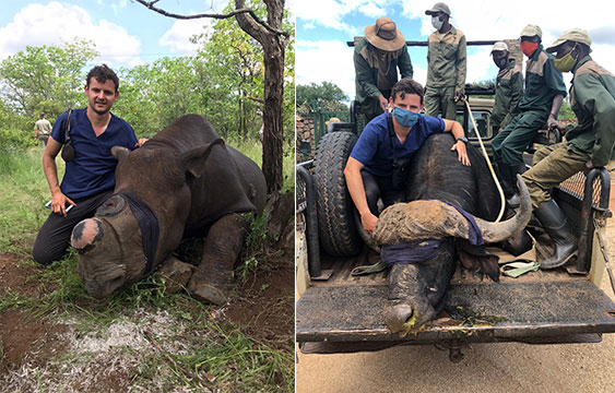 rinoceronte,Africa,Conservación,fauna,caza