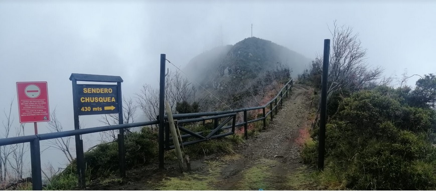 Sendero Chusquea