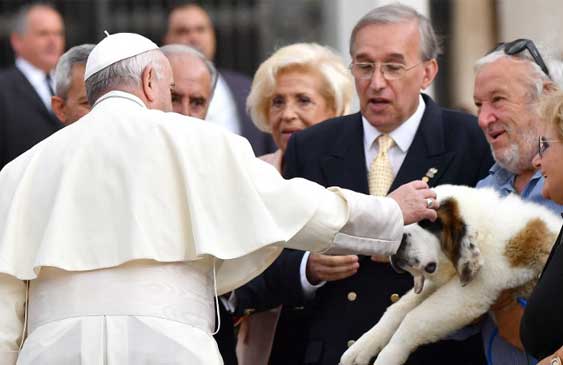 Papa Francisco,hijos,animales