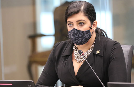 Pilar Garrido,Rodrigo Chaves,Ministro de Hacienda,recomendación,Ottón Solís,Carlos Alvarado