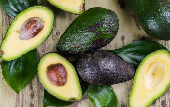 Aguacate,Costa Rica,México,Importación,Noticias