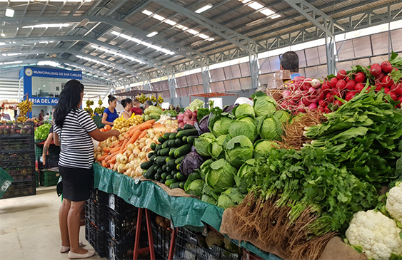 Junta Nacional de Ferias del Agricultor,Organización de las Naciones Unidas para la Alimentación y la Agricultura,Ferias del Agricultor,Ministerio de Agricultura y Ganadería