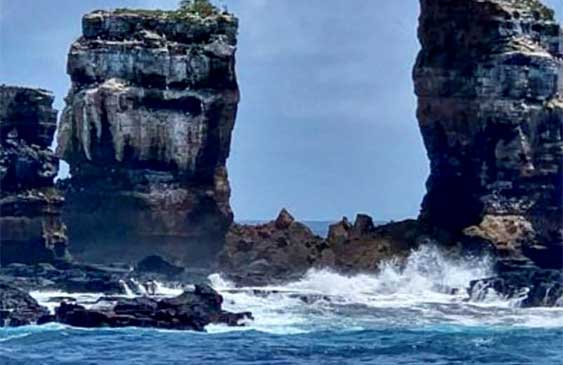 Ecuador,reserva marina,fauna migratoria,Costa Rica