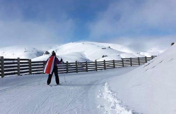 ameliarueda así apoyará un grupo de ticos a la sele desde nueva zelanda