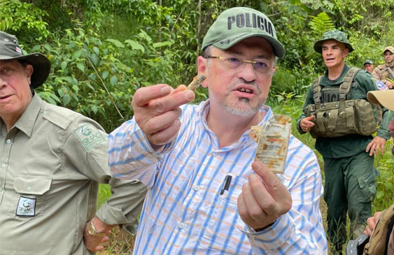 crucitas,minería,oro,extracción,rodrigo chaves,presidente,gobierno,san carlos,infinito gold,pilar cisneros