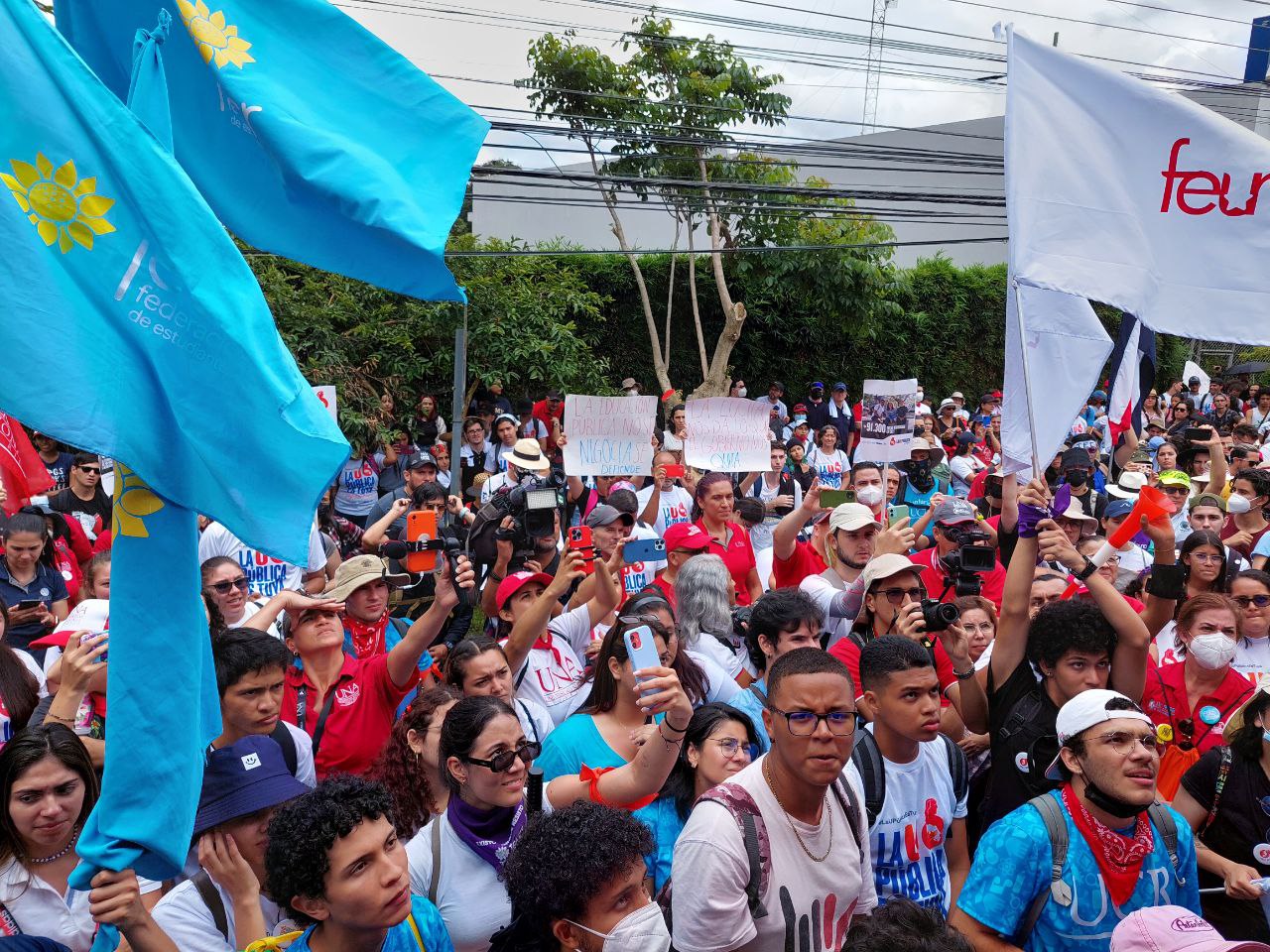 Manifestación FEES
