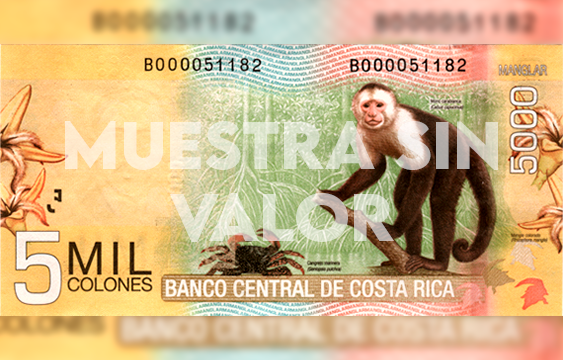 noticias,Costa Rica,Nacionales,billetes,algodon,5000