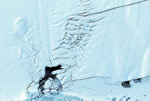 Antartida,Nivel del mar,Científicos