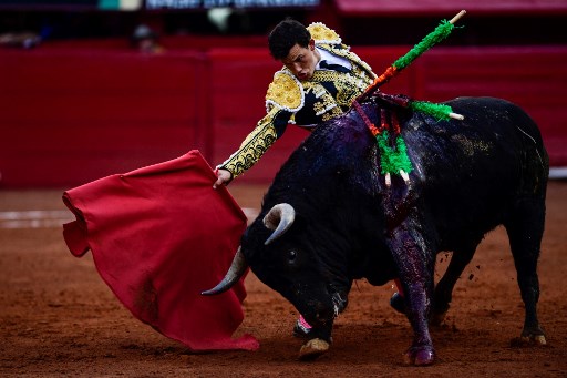 Toros,México,Corridas