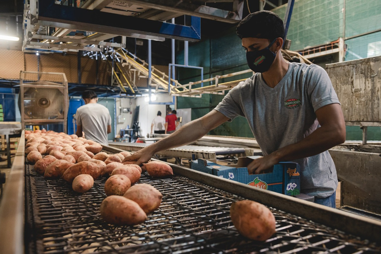 desempleo,trabajo,empleo,mercado laboral,economía costarricense,inec,costa rica,encuesta continua de empleo,pandemia