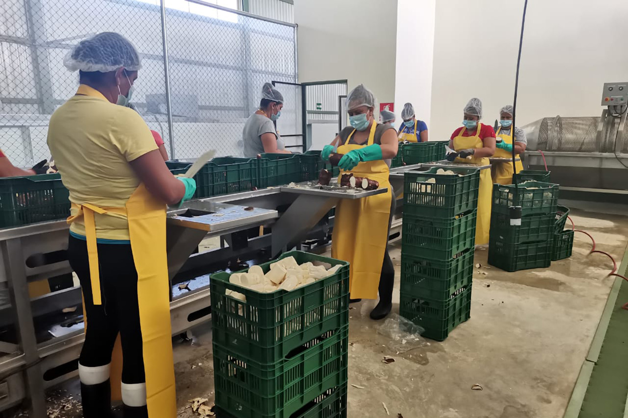 inec,desempleo,empleo,trabajo,fuerza de trabajo,población ocupada,instituto nacional de estadística y censos,economía,costa rica,encuesta continua de empleo