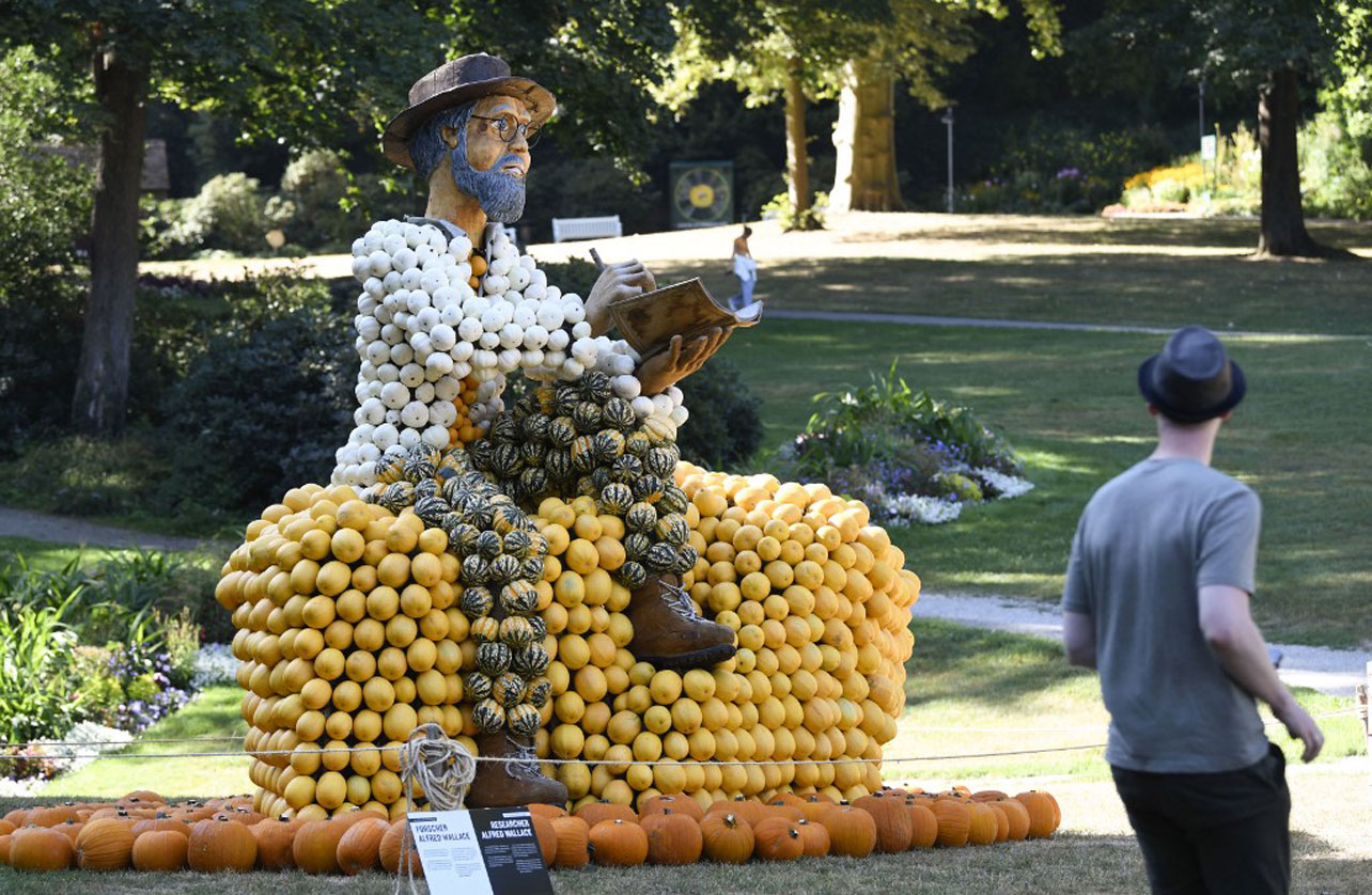 El Naturalista Damen N5300 Coral Mary Jane Schuhe - Weite Passform In Malva 38 EU