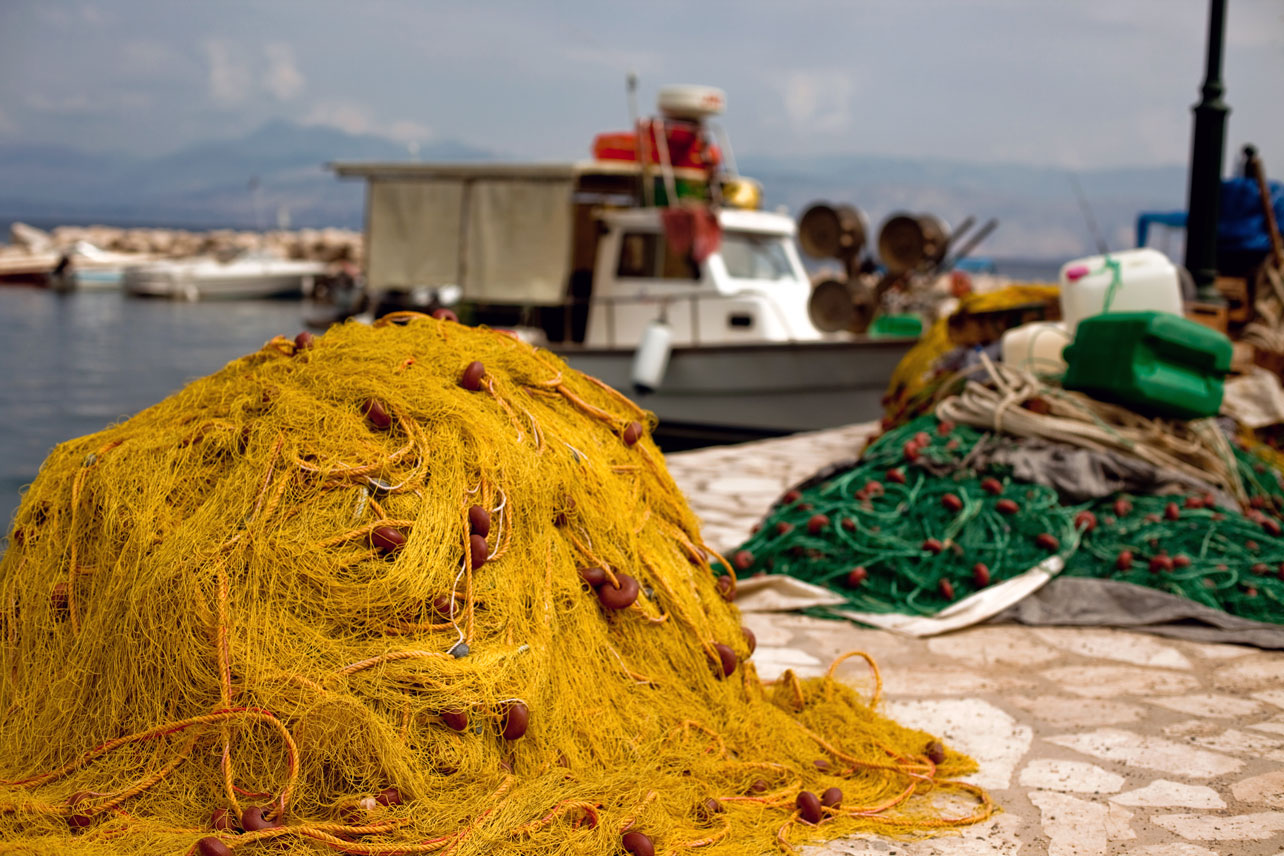 andrés beita-jiménez,biólogo marino,pesca de arrastre,minae,incopesca,gobierno,rodrigo chaves,franz tattenbach,sostenibilidad,medio ambiente