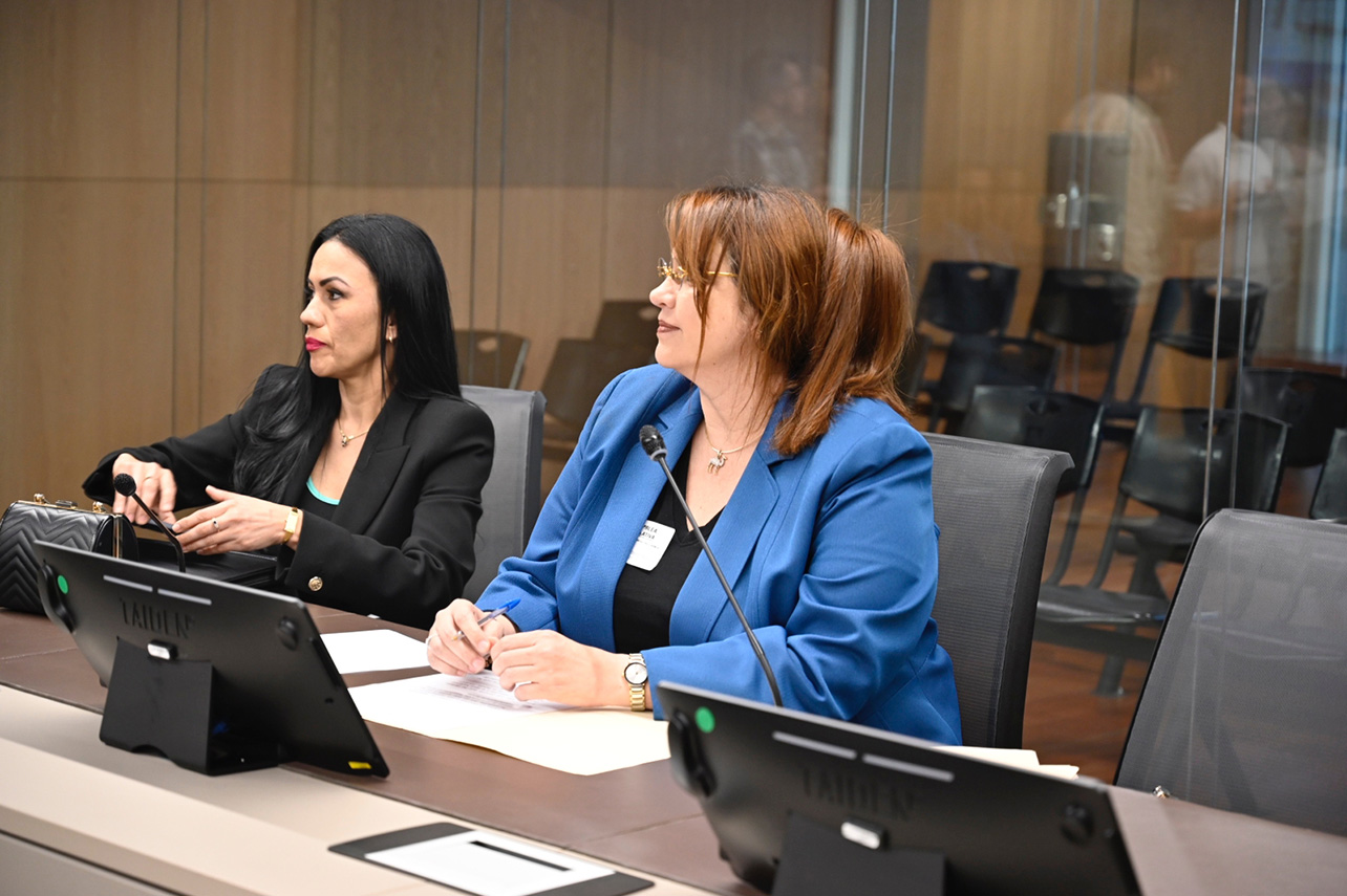 mayuli ortega,alberto vargas,piero calandrelli,trol,casa presidencial,pueblo soberano,progreso social democrático,asamblea legislativa,rodrigo chaves