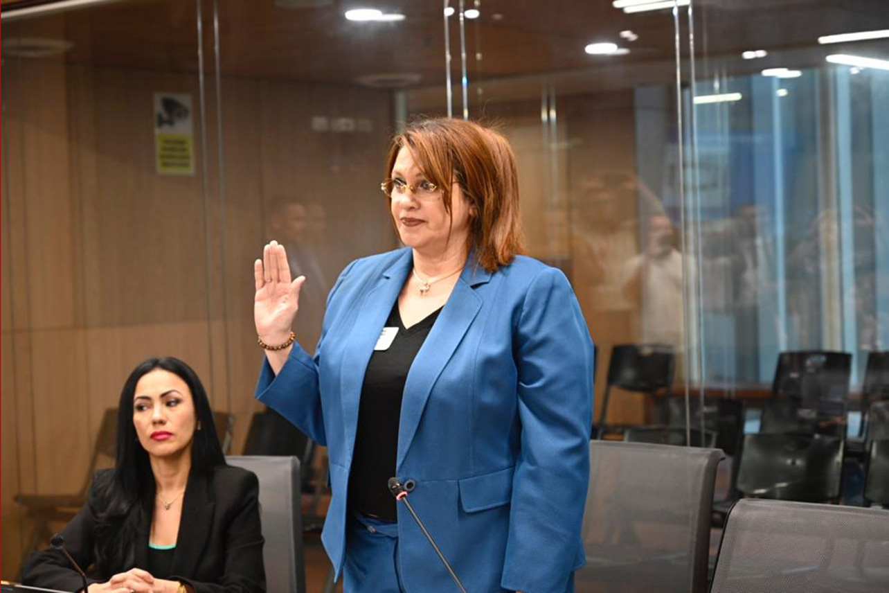 mayuli ortega,rodrigo chaves,casa presidencial,comisión de investigación de financiamiento de partidos políticos,alberto vargas,trol,piero calandrelli,pueblo soberano