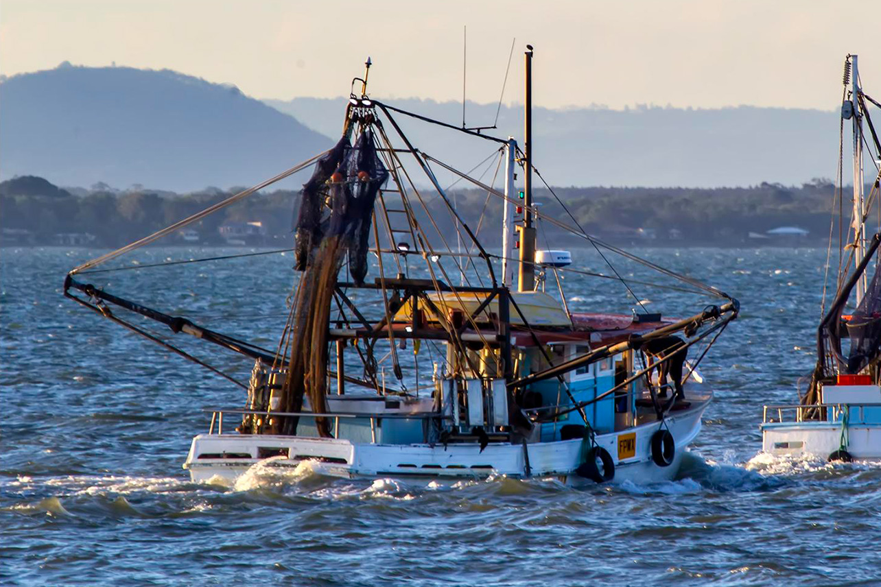 Pesca,arrastre,ambiente,gobierno