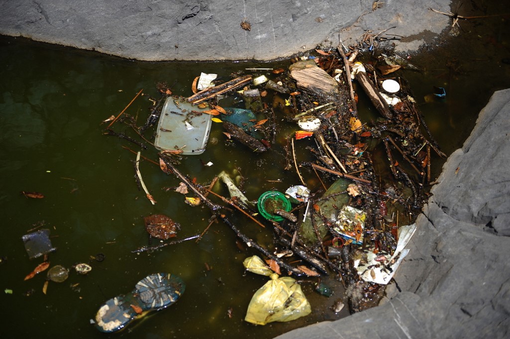 ambiente,ambientalistas,amenazas,ríos,mares,Día Mundial del Ambiente