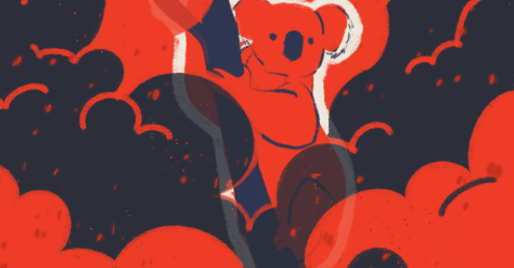 5 especias de animales que solo viven en Australia